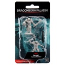 Nolzur's Marvelous Miniatures: Dragonborn Paladin Male W12