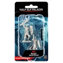Nolzur's Marvelous Miniatures: Half-Elf Paladin Male