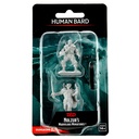Nolzur's Marvelous Miniatures: Human Bard Male
