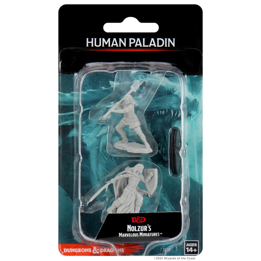 Nolzur's Marvelous Miniatures: Human Paladin Female