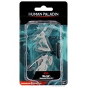 Nolzur's Marvelous Miniatures: Human Paladin Female