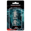 Nolzur's Marvelous Miniatures: Human Rogue Male
