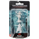 Nolzur's Marvelous Miniatures: Tiefling Sorcerer Female W15