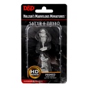 Nolzur's Marvelous Miniatures: Satyr & Dryad