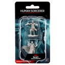 Nolzur's Marvelous Miniatures: Human Sorcerer	Male