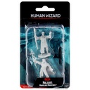 Nolzur's Marvelous Miniatures: Human Wizard Male