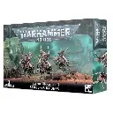 Warhammer 40K: Adeptus Mechanicus: Serberys Raiders