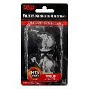 Nolzur's Marvelous Minis: Dwarf Fighter Male